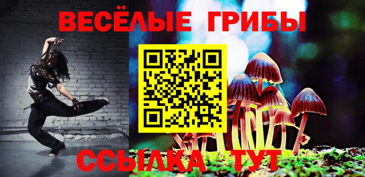 Галлюциногенные грибы GOLDEN TEACHER  Вход с VPN  где можно купить   Таганрог 